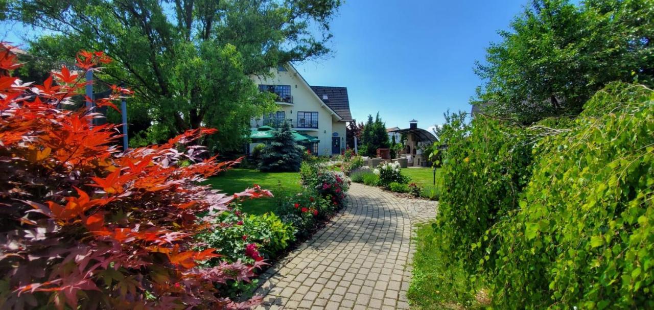 Villa Westfalia Guest House Tîrgu Secuiesc Dış mekan fotoğraf