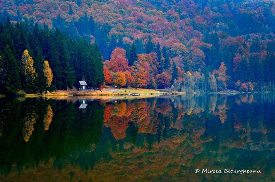Villa Westfalia Guest House Tîrgu Secuiesc Dış mekan fotoğraf