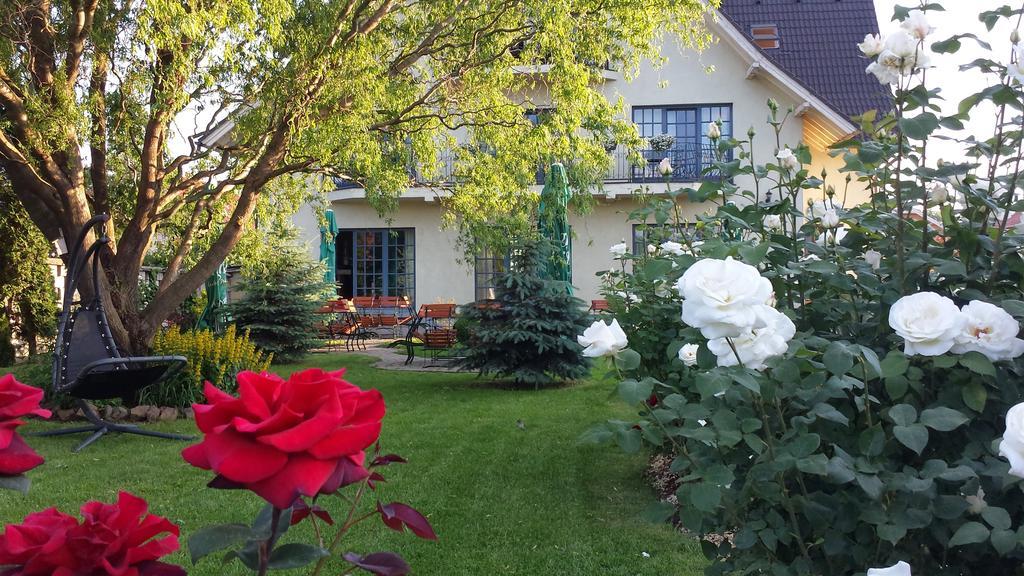 Villa Westfalia Guest House Tîrgu Secuiesc Dış mekan fotoğraf