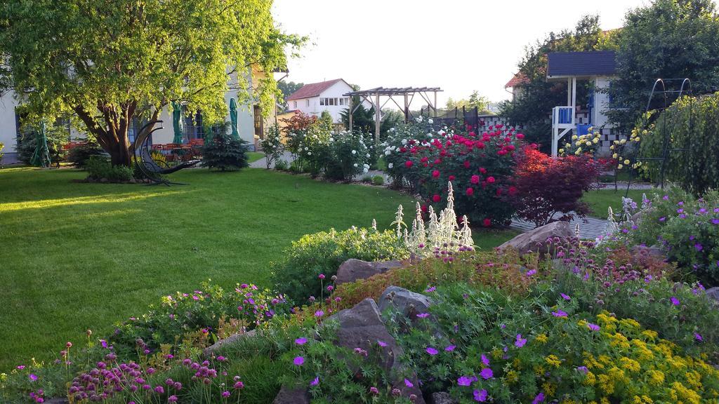 Villa Westfalia Guest House Tîrgu Secuiesc Dış mekan fotoğraf