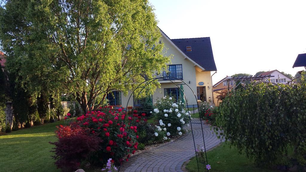 Villa Westfalia Guest House Tîrgu Secuiesc Dış mekan fotoğraf