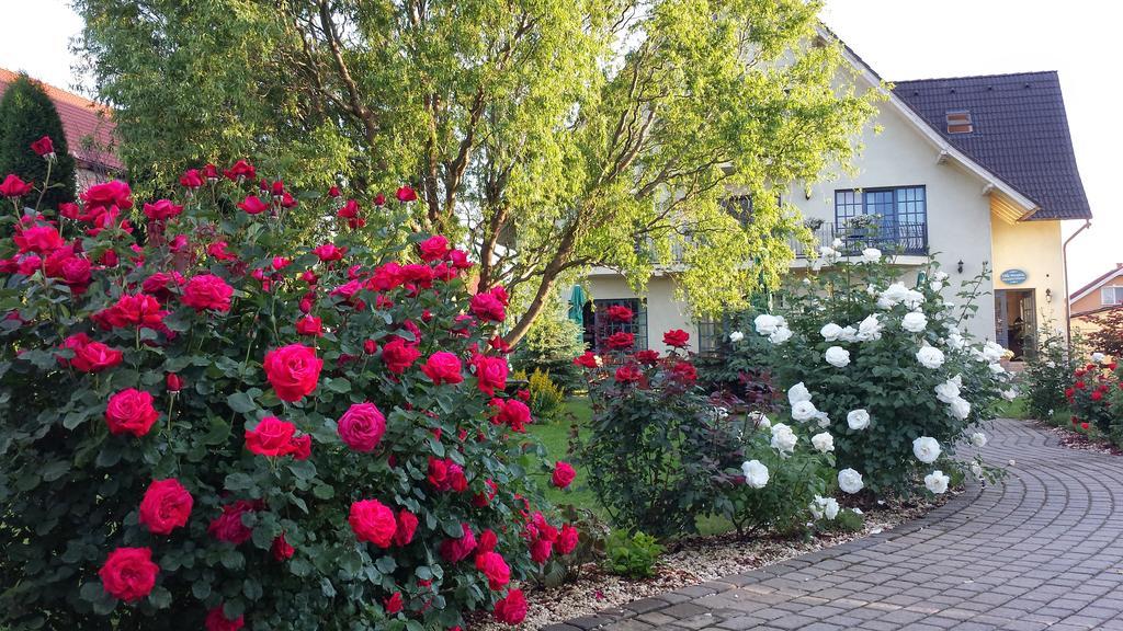 Villa Westfalia Guest House Tîrgu Secuiesc Dış mekan fotoğraf